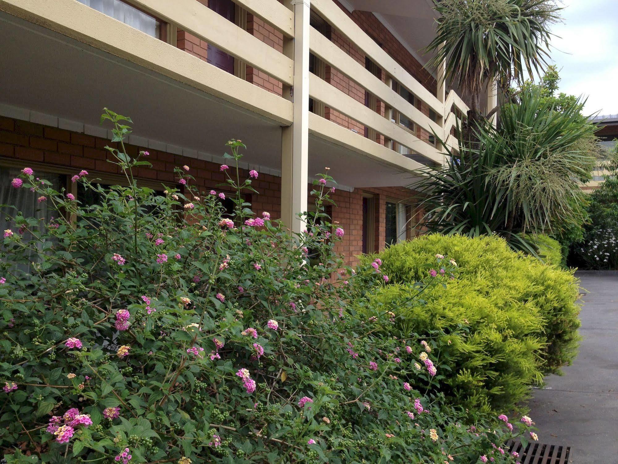 Essendon Motel Essendon North Exterior foto